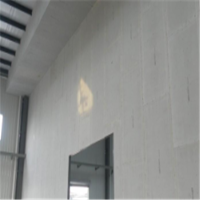 孝南宁波ALC板|EPS加气板隔墙与混凝土整浇联接的实验研讨